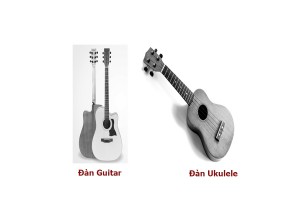 Ukulele và đàn guitar đâu là sự lựa chọn cho giới trẻ